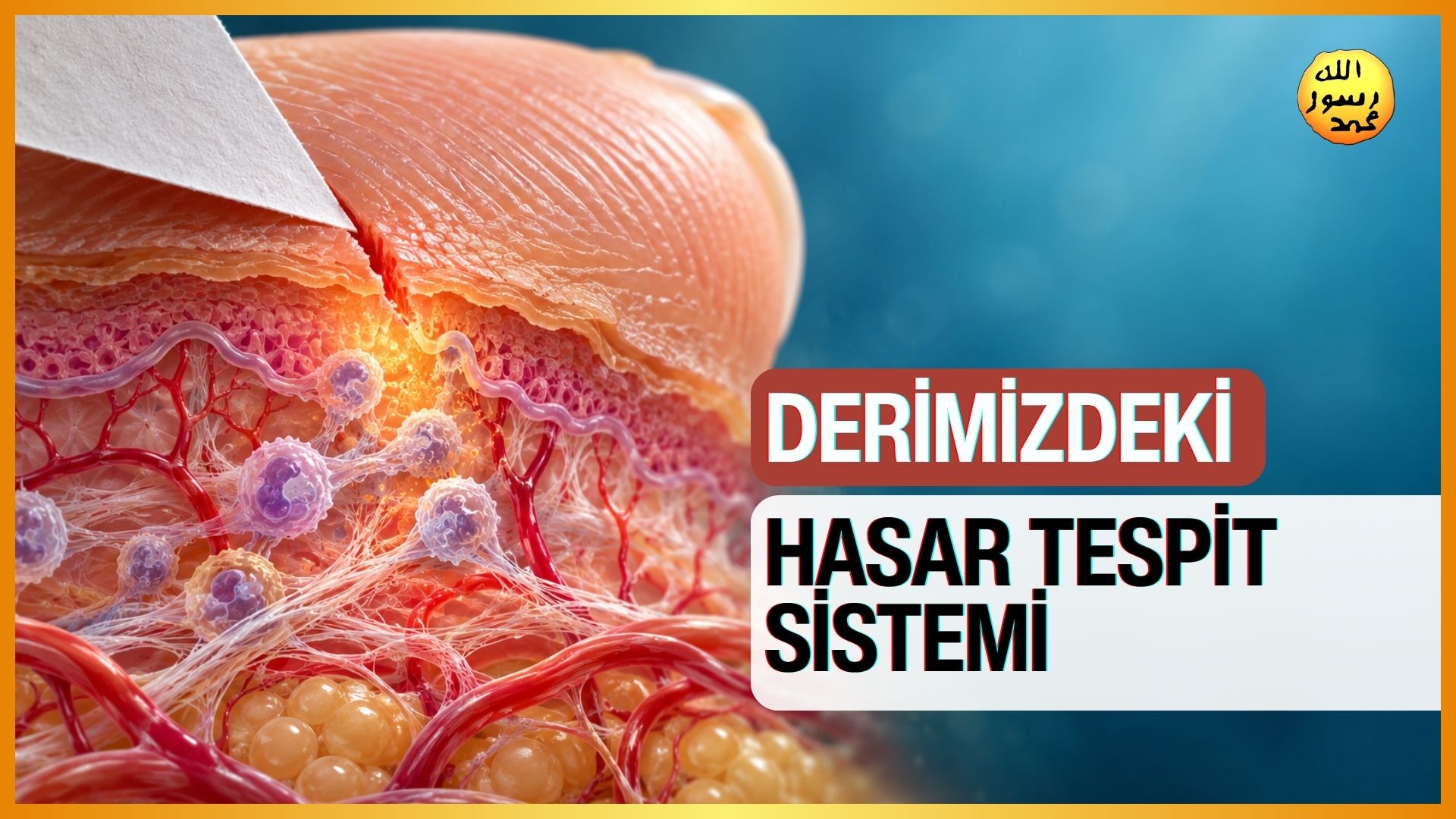 Derimizdeki Hasar Tespit Sistemi