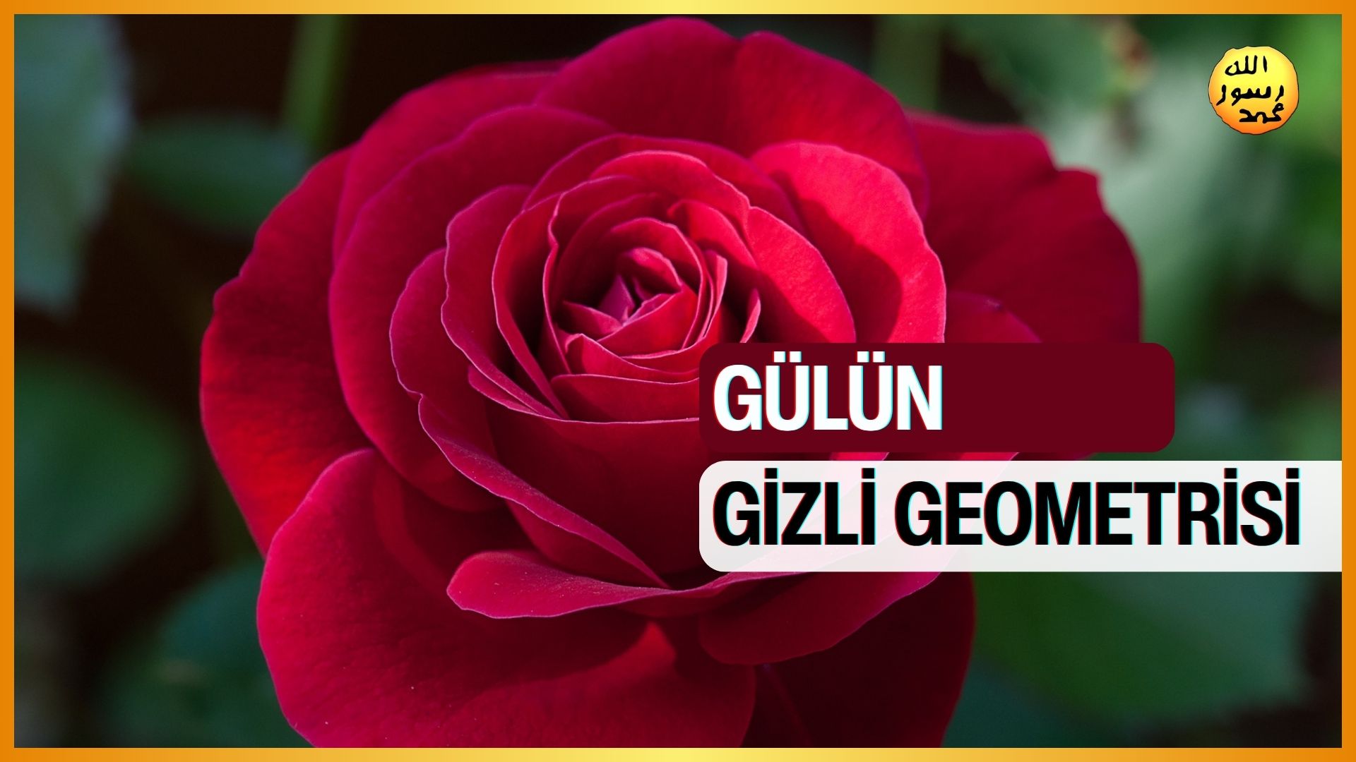 Gülün Gizli Geometrisi