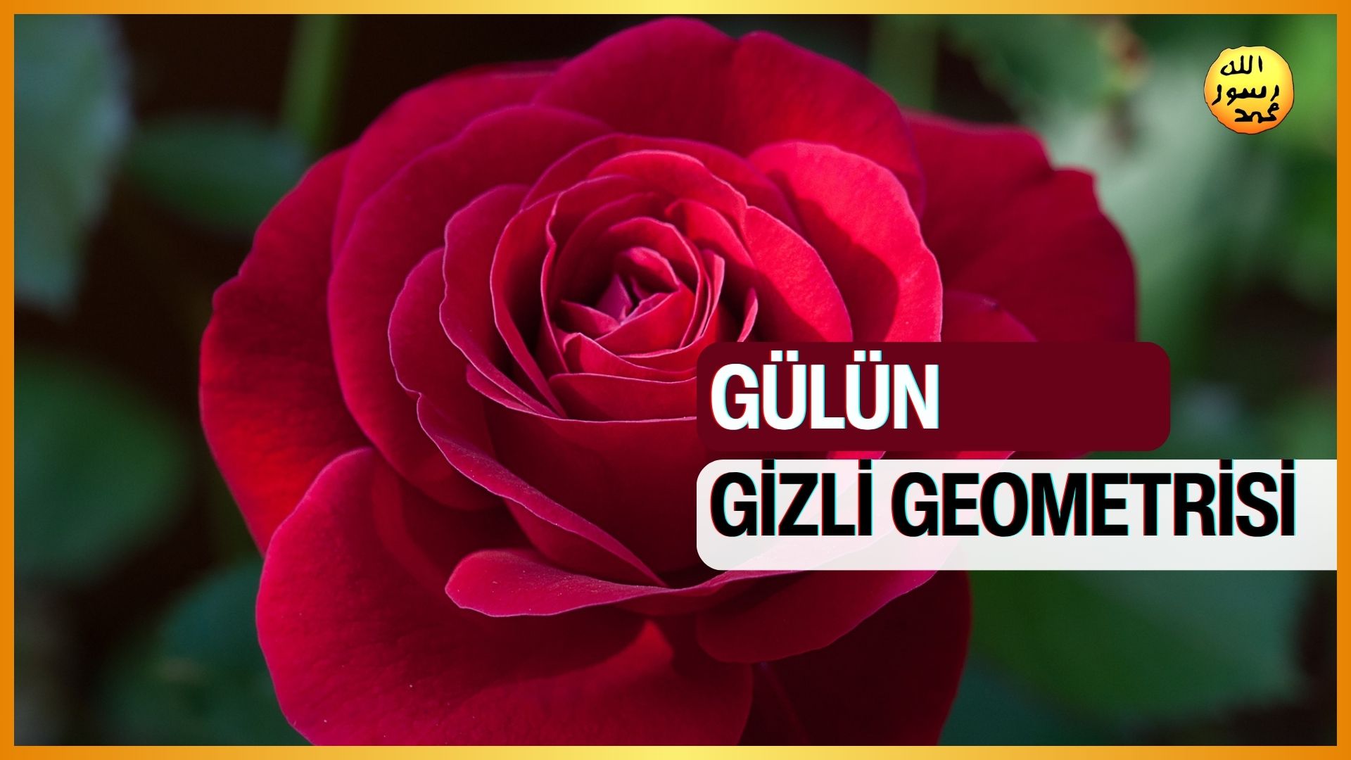 Gülün Gizli Geometrisi