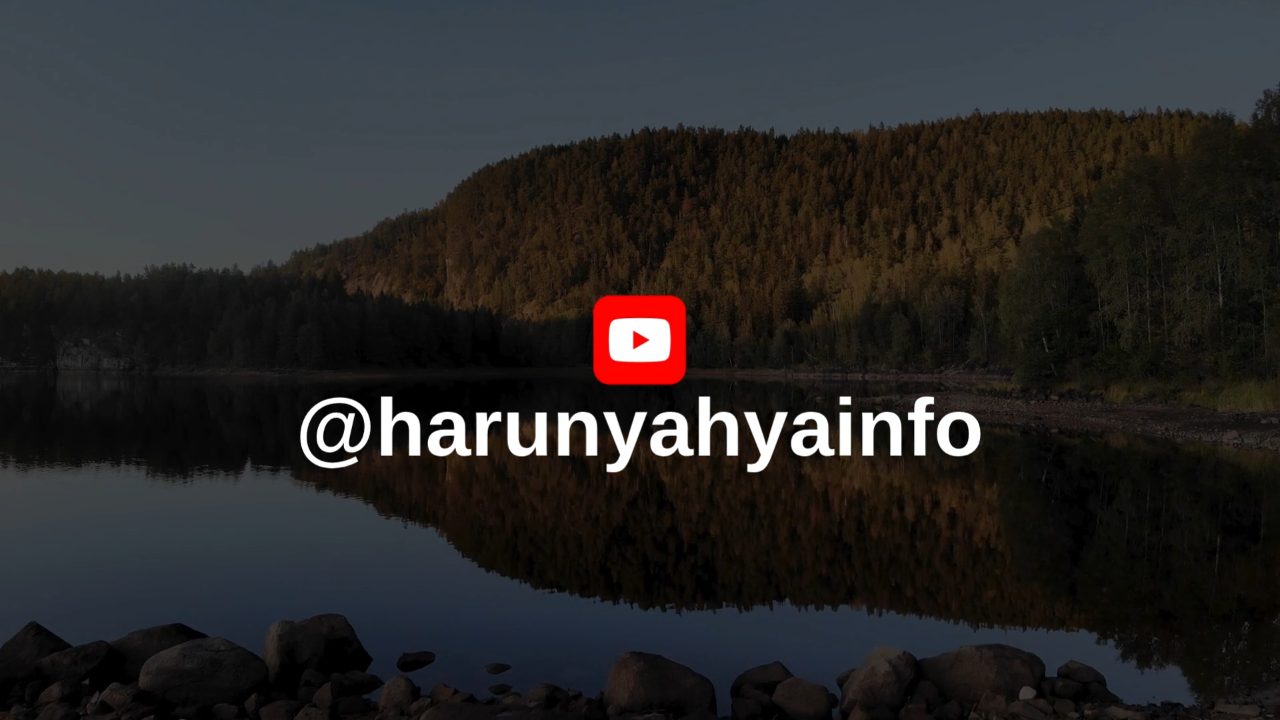 Hayata Bakış Açınızı Değiştirecek Kanal @harunyahyainfo