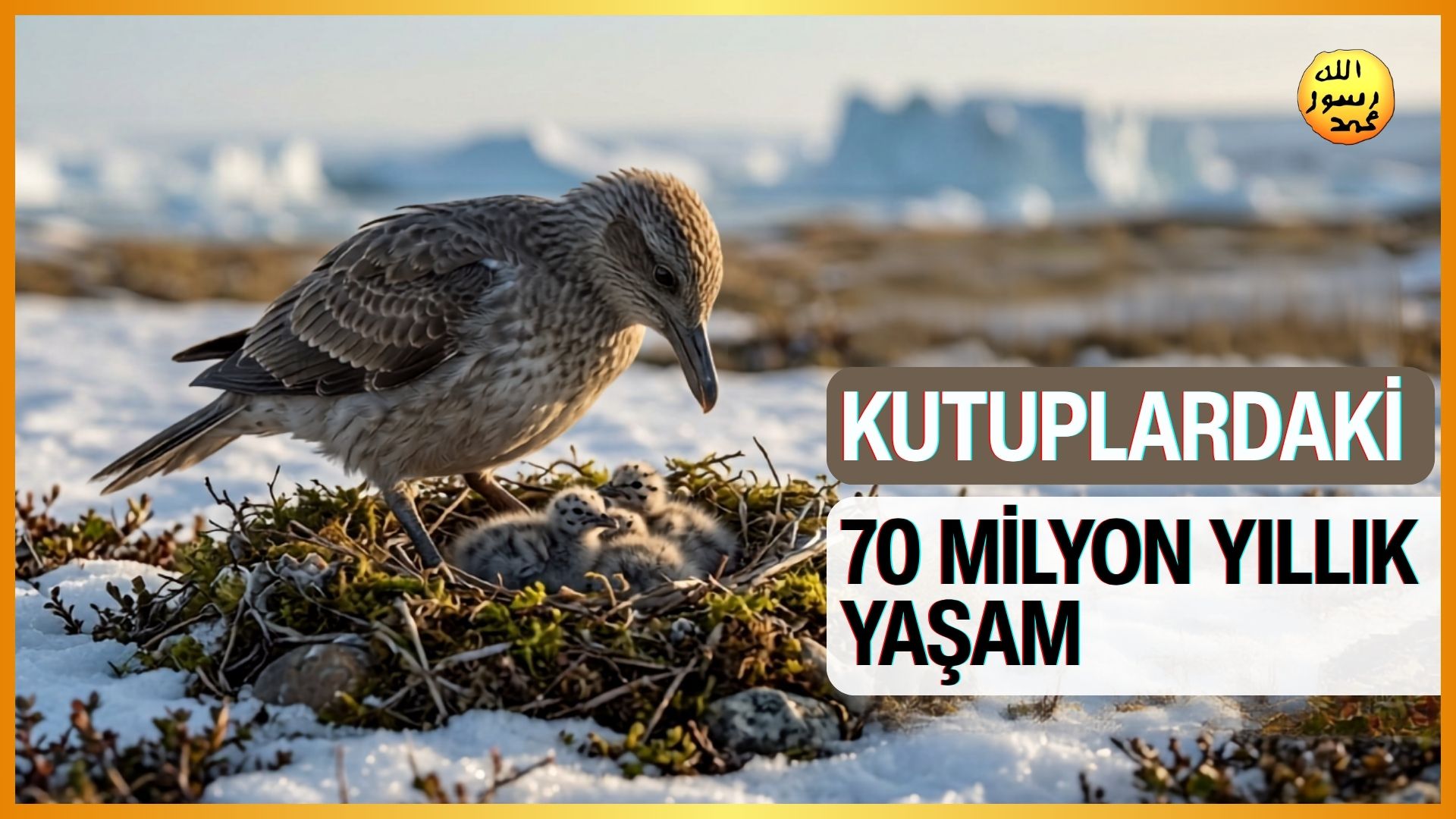 Kutuplardaki 70 Milyon Yıllık Yaşam