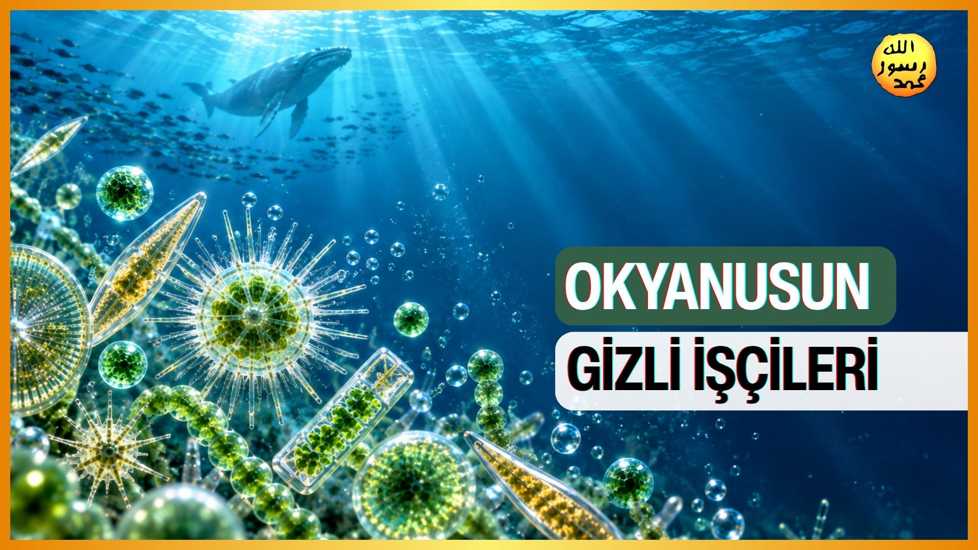 Okyanusun Gizli İşçileri