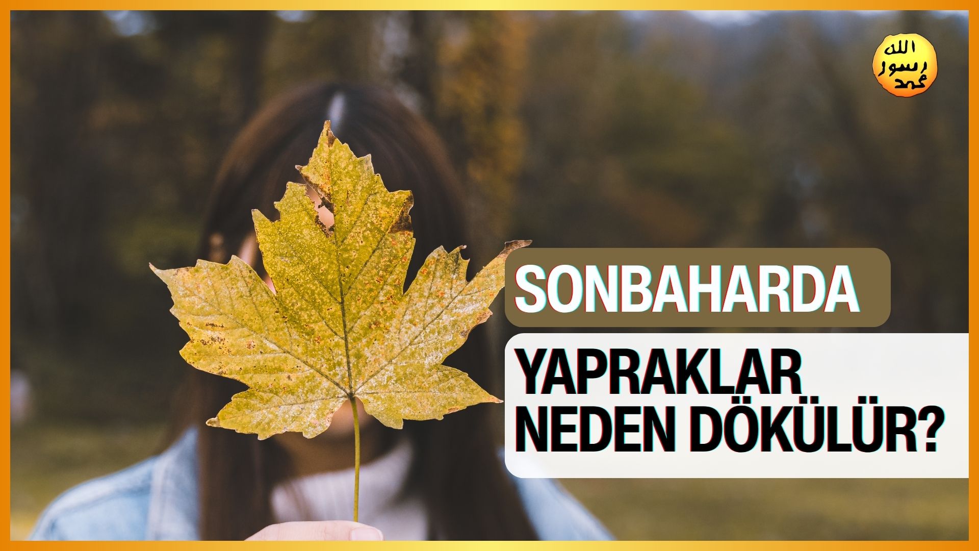 Sonbaharda yapraklar neden dökülür