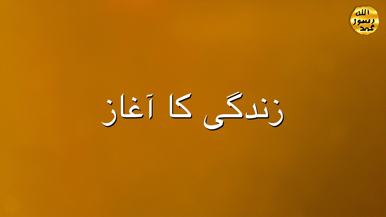 زندگی کا آغاز