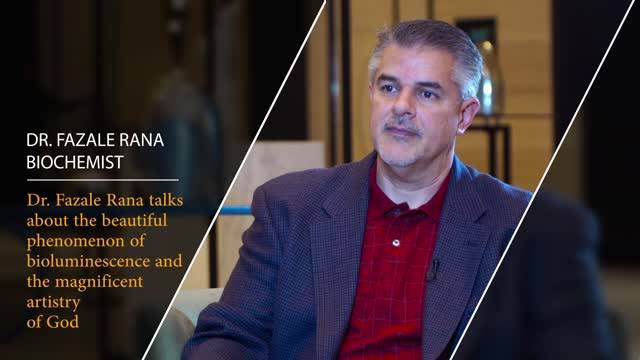 Dr. Fazale Rana Talks About The Beautiful Phenomenon of Bioluminescence ...