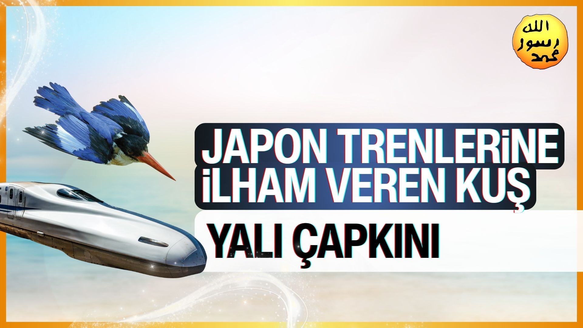 Japon Trenlerine İlham Veren Kuş: Yalıçapkını