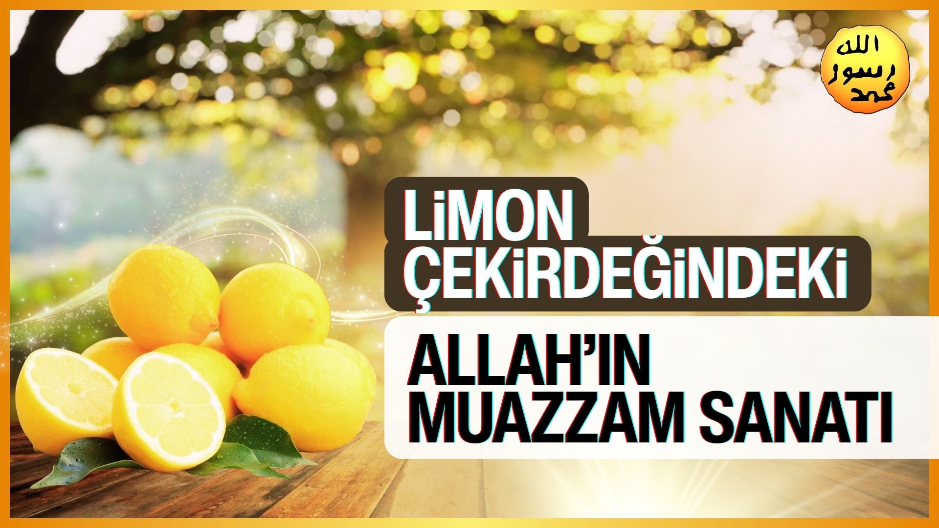 Limon Çekirdeğindeki Allah'ın Muazzam Sanatı 