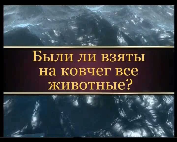 Были ли взяты на ковчег все животные?