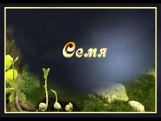 Чудо семени