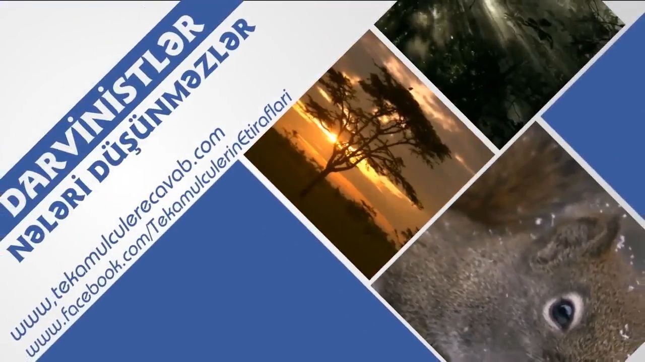 Darvinistlər nələri düşünməzlər - 2
