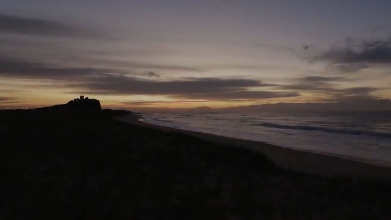 Dəniz tısbağaları