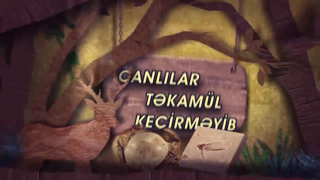 Fosillər Darvinə cavab verir - 3