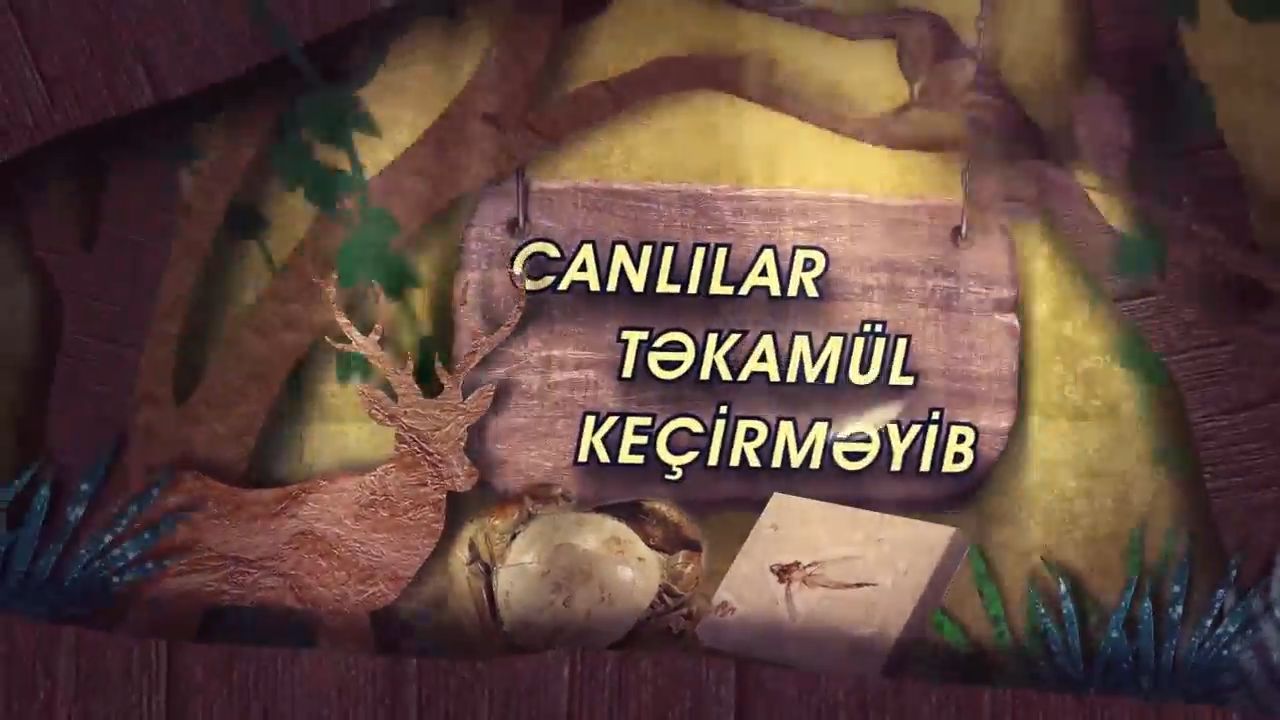 Fosillər Darvinə cavab verir - 4
