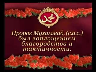 Пророк Мухаммад, (с.а.с) был воплощением благородства и тактичности