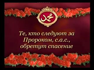 Те, кто следуют за Пророком, (с.а.с), обретут спасение