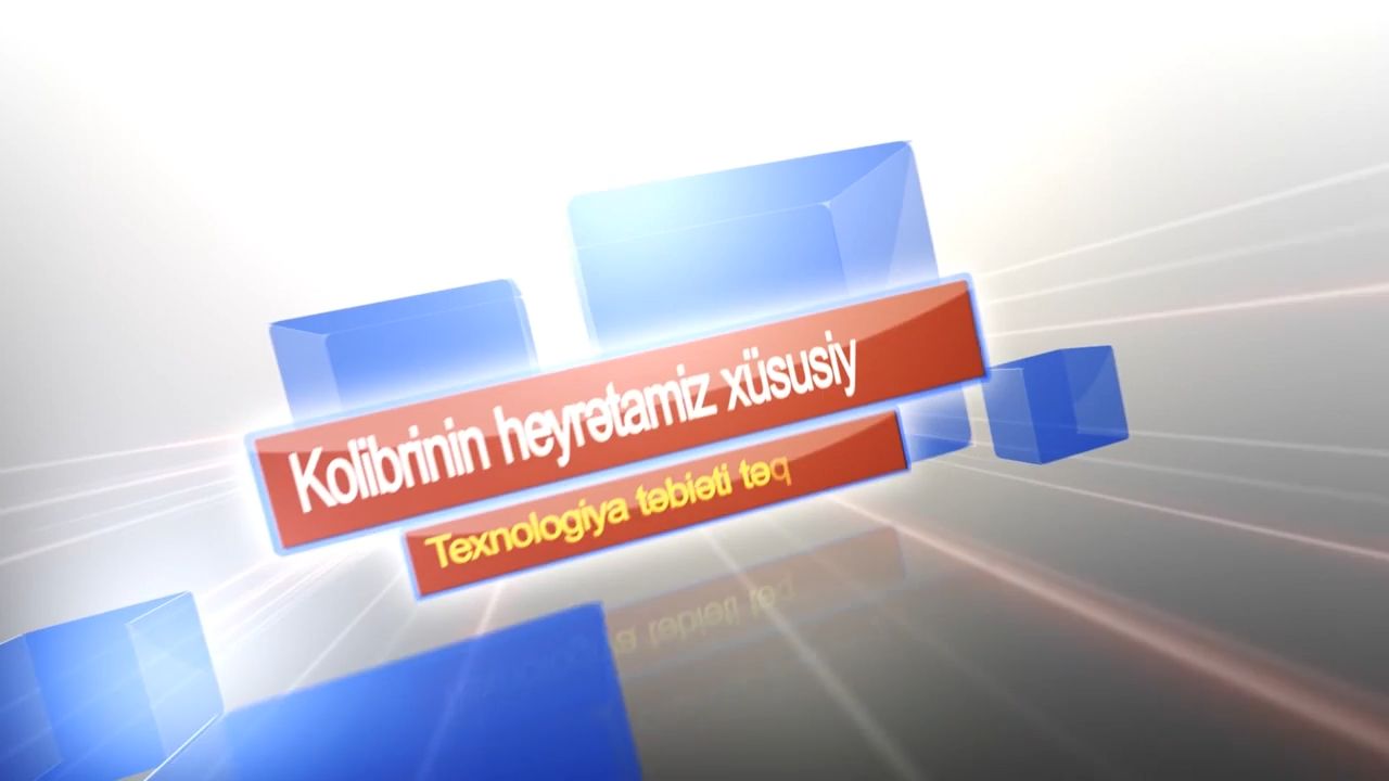 Texnologiya təbiəti təqlid edir - Kolibrinin heyrətamiz xüsusiyyətləri