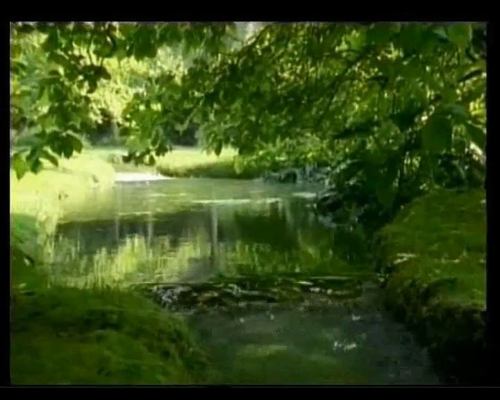 Возведение ковчега