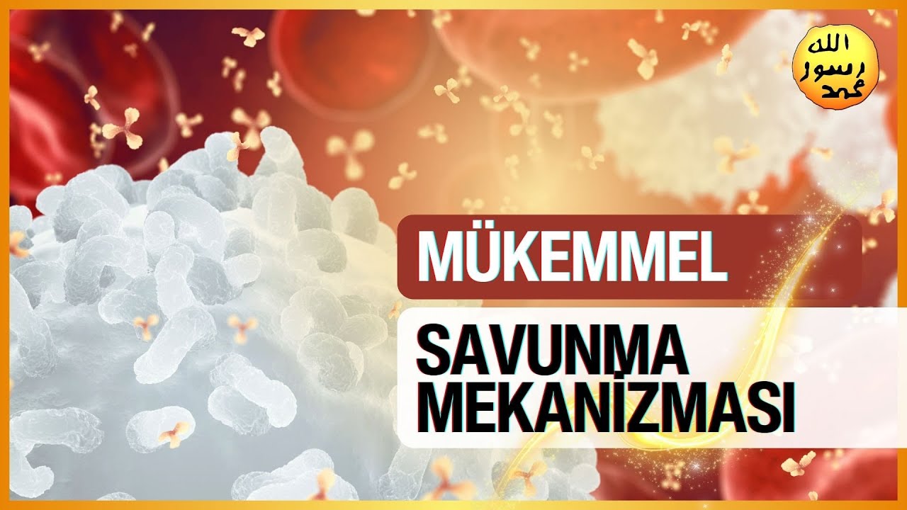 Allah'ın Vücudumuzda Yarattığı Savunma Mekanizması