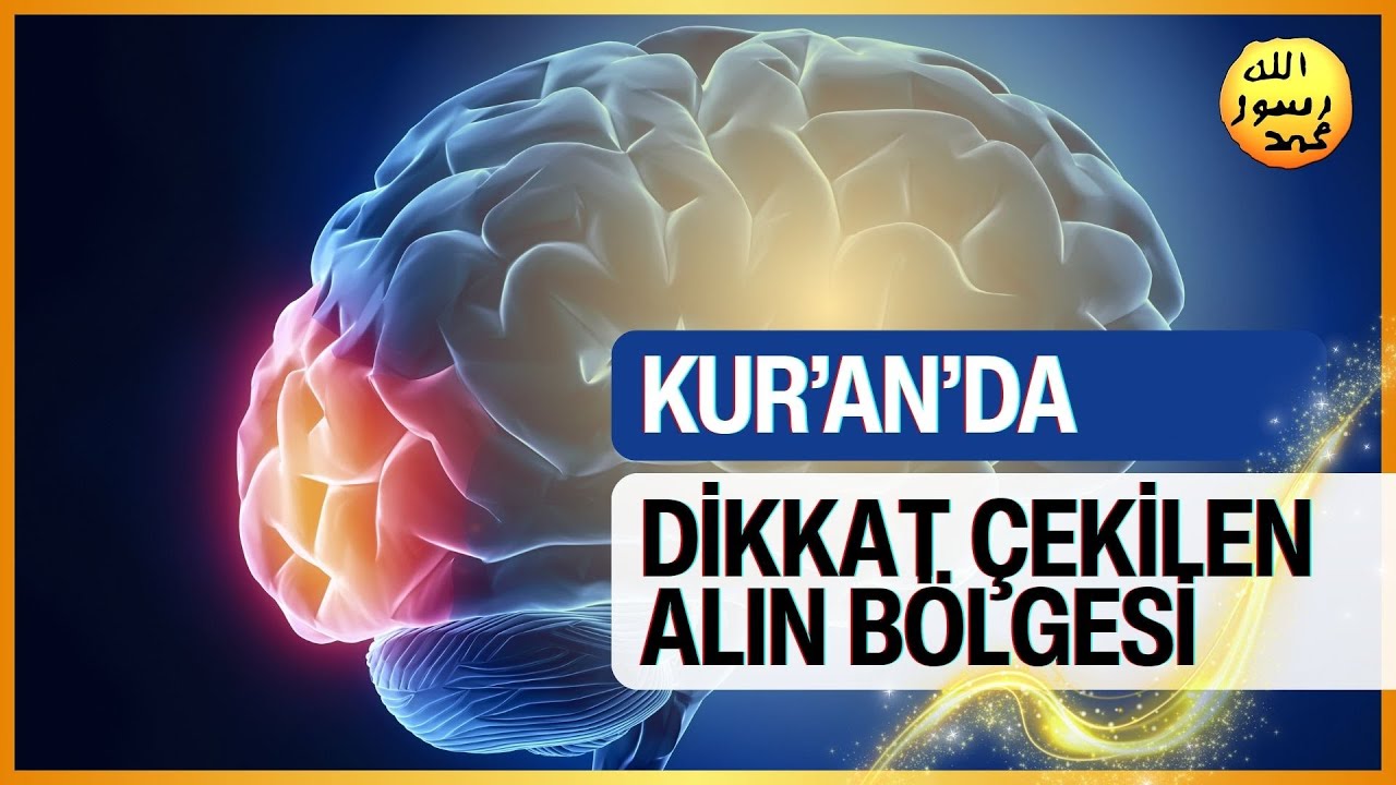 Kur'an'da Dikkat Çekilen Alın Bölgesi