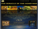 The Miracle of the Honeybee