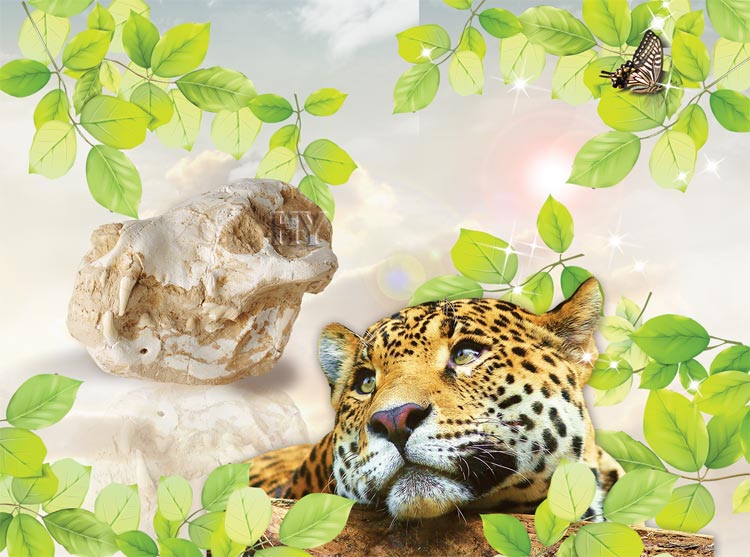 jaguar skull