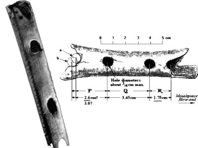 Flute Du Neandertalien