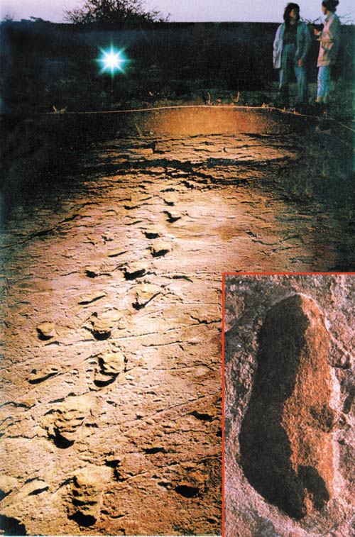 human footprints in Laetoli