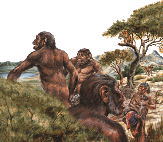 Ранние предки людей