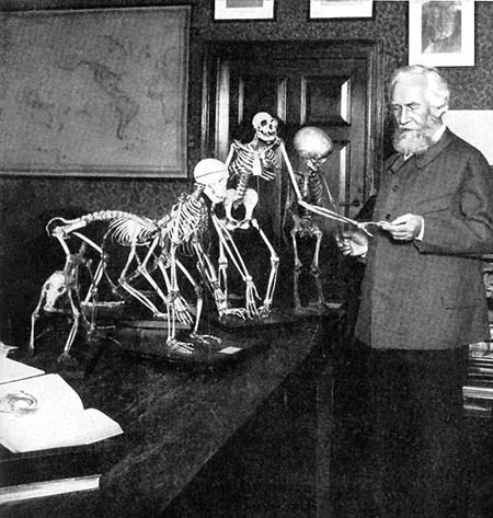 Avec ses dessins d'embryons falsifiés, Ernst Haeckel a trompé le monde de la science pendant un siècle