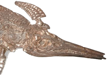 Fossile d'ichthyosaure de 200 millions d'années