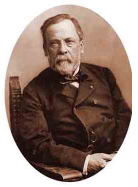 pasteur