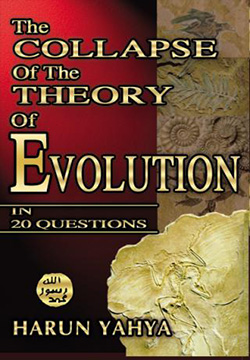 The Collapse of The Theory of Evolution in 20 Questions