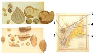 evolution, William Smith, Trias Dönemi, Jura Dönemi, Jeolojik harita