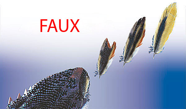 oiseaux