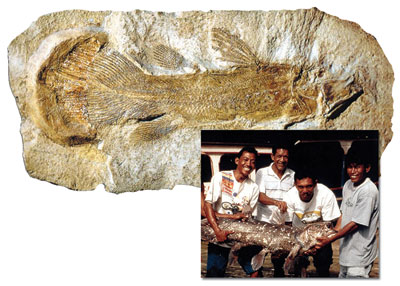 Coelacanthe