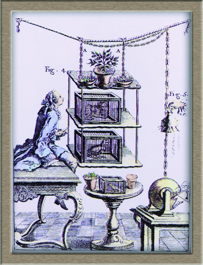 Lamarck