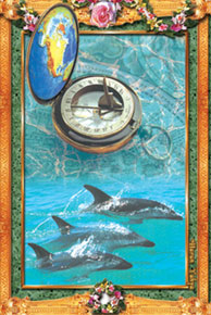 compass, dolphin, sea