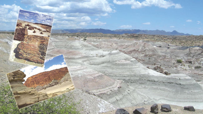 Ischigualasto, fossil bed