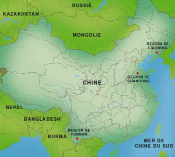 China map