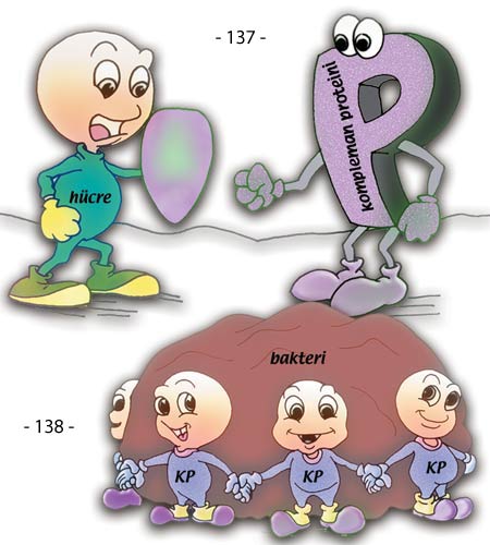 hipotalamus