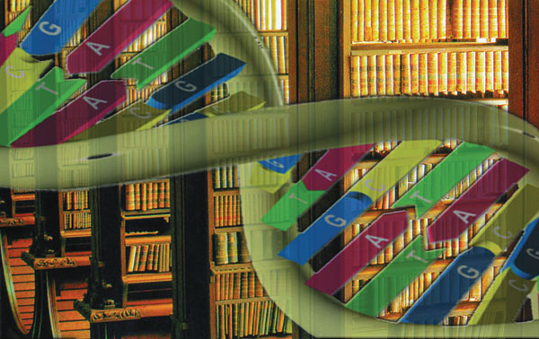 DNA-kütüphane