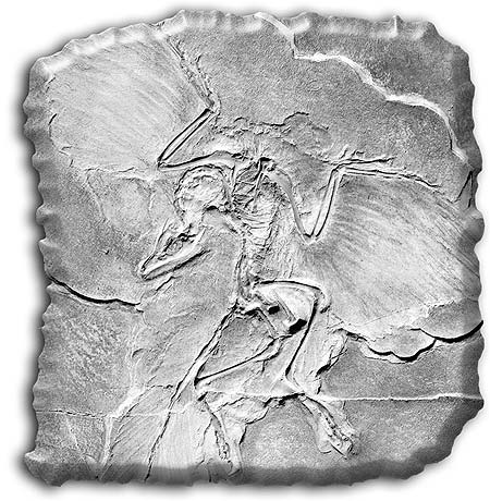 Archaeopteryx Fosili
