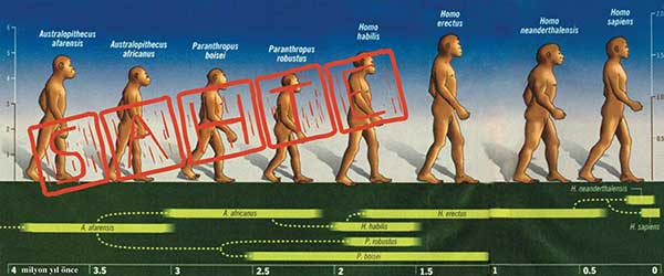 Sahte insanın evrimi şeması 