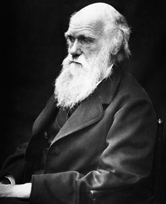 Charles Darwin, evrim