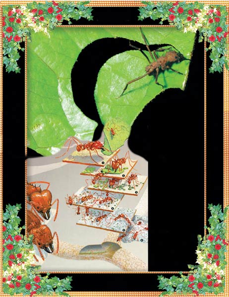 ants