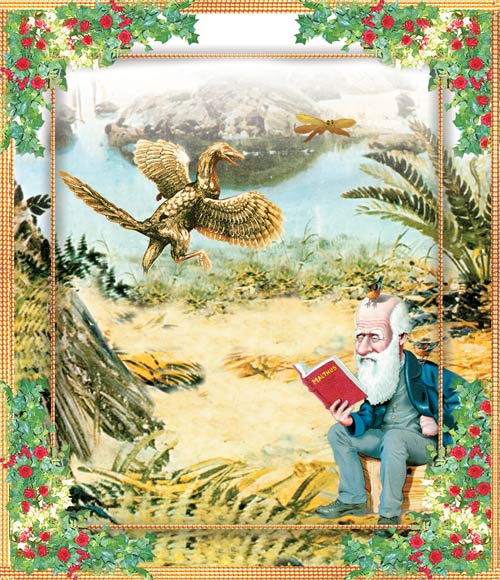 darwin