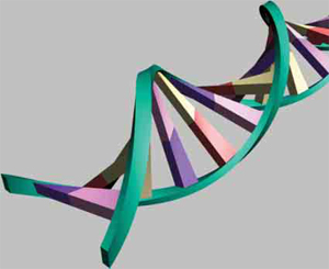 DNA, mutazioni