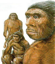 Neandertaller, sahte çizim