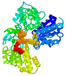 protein, proteinske molekule