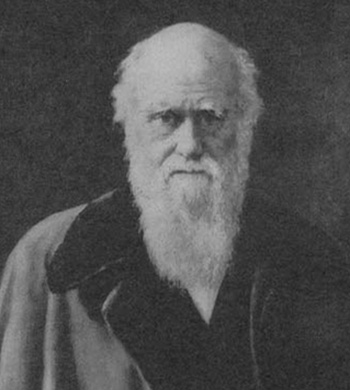 Charles Darwin, evrim